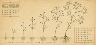 L-system Graphics — AI-generated interpretation