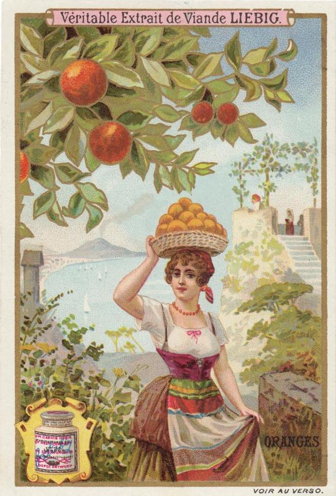 Chromolithography — Liebig trading card, Woman of Naples, 19th century — Wikimedia Commons / Public domain