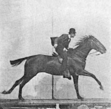 Chronophotography — Muybridge Chronophotography of a galloping horse 1878 — Wikimedia Commons / Public domain