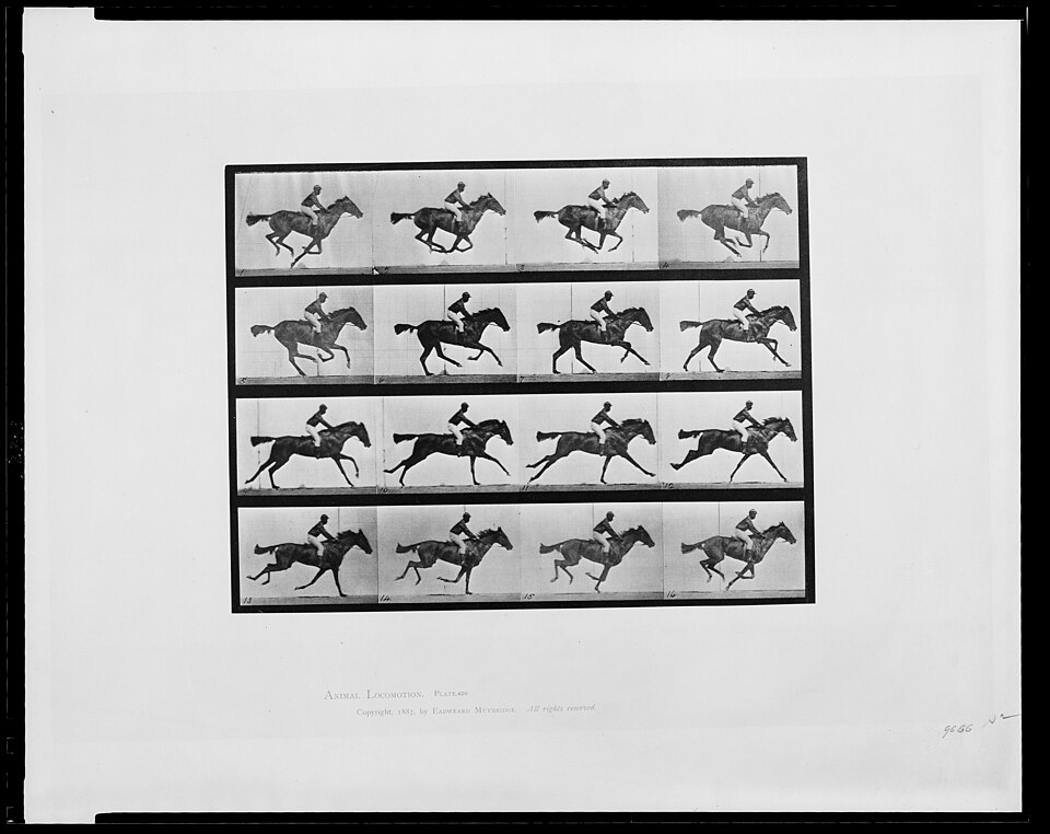 Collotype — Eadweard Muybridge, Animal Locomotion: Annie G. galloping, 1887 — collotype, Library of Congress — Wikimedia Commons / Public domain