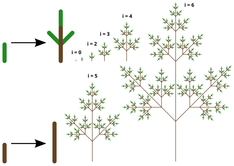 L-system Graphics — First six iterations of an L-system fractal tree — NightElfik — Wikimedia Commons / Public domain