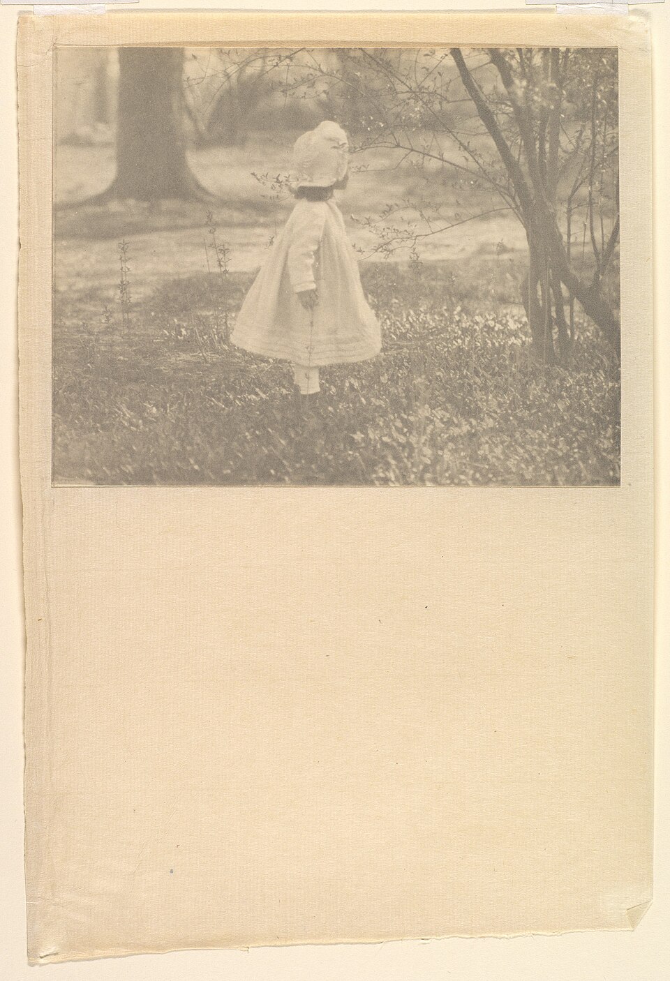 Photogravure — Alfred Stieglitz, Kitty Stieglitz, Central Park, New York, 1901 — photogravure, Metropolitan Museum of Art — Wikimedia Commons / CC0