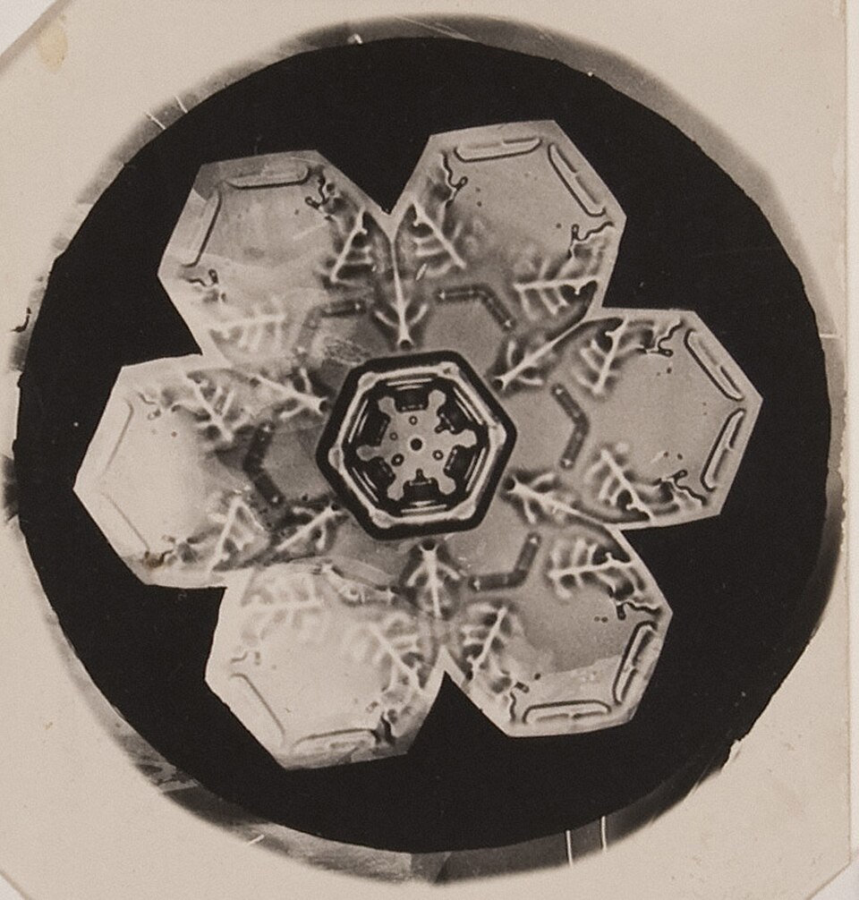 Photomicrography — Snow crystal by Bentley, c. 1905 — Wikimedia Commons / Public domain