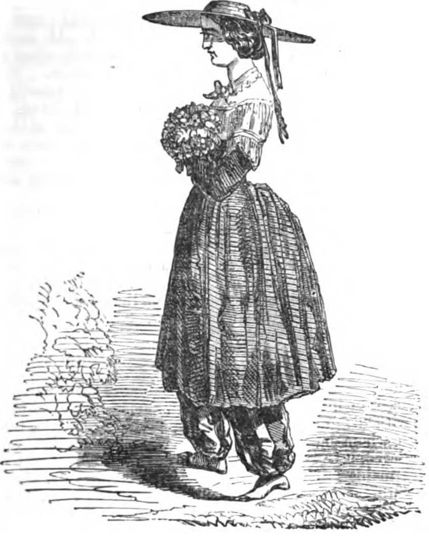 Rational Dress — Bloomer costume plate 1864 — Wikimedia Commons / Public domain