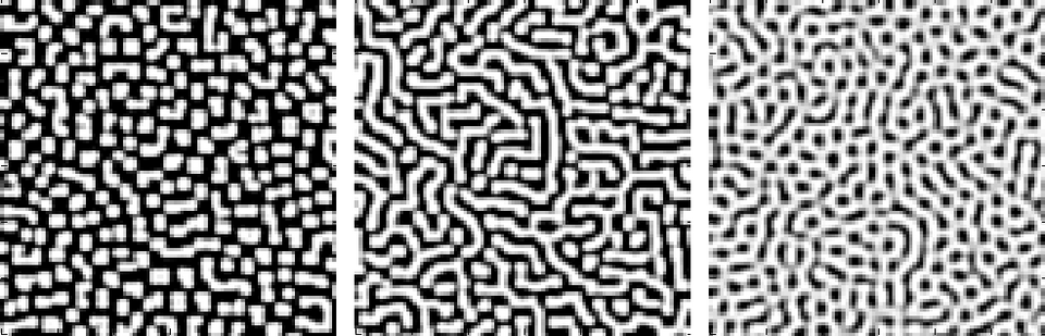 Reaction–Diffusion — Turing patterns from numerical simulation — published reaction-diffusion output by Ex.ungue.leonem, 2008 — Wikimedia Commons / Public domain