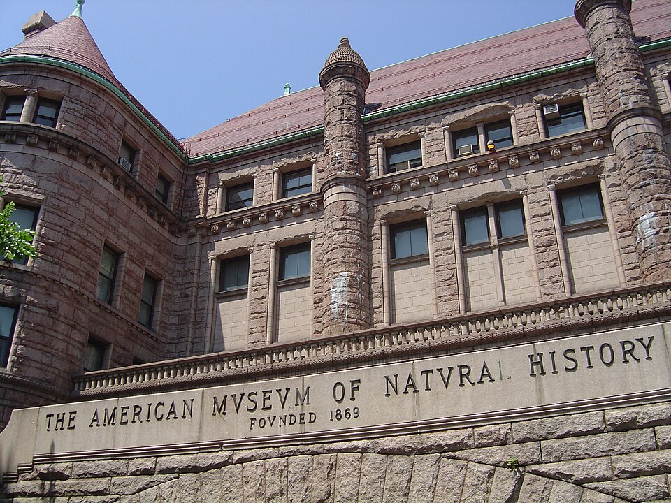 Richardsonian Romanesque — American Museum of Natural History, side entrance, New York — photo: Fordmadoxfraud — Wikimedia Commons / Public domain