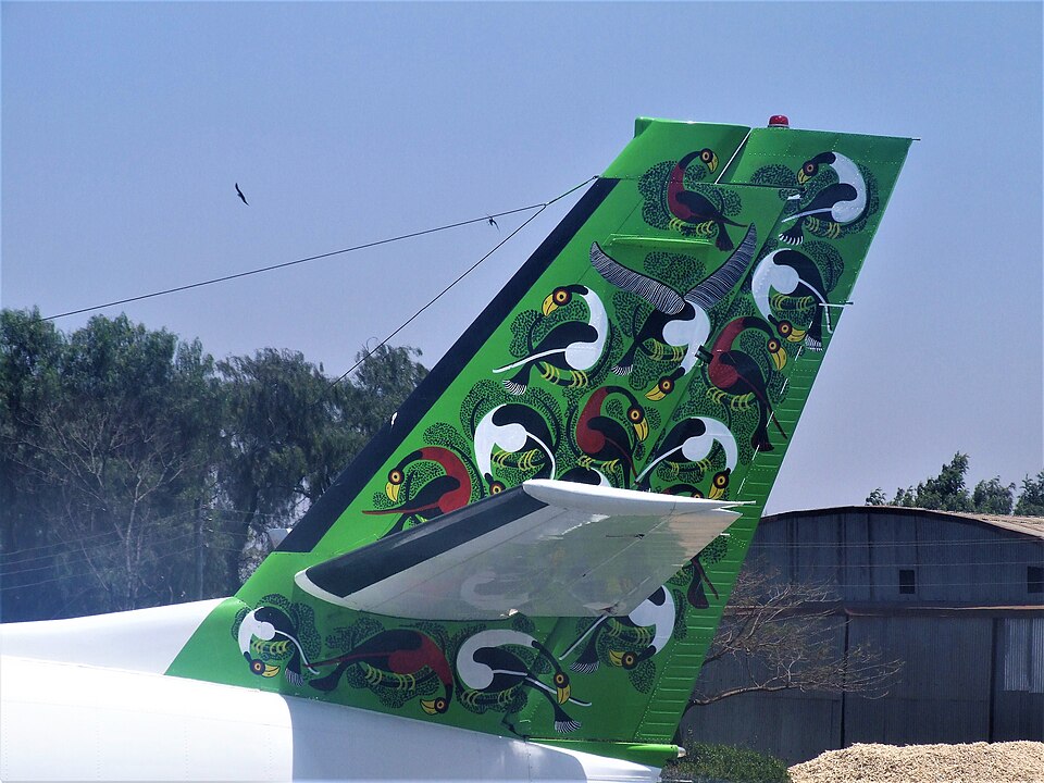 Tingatinga — Tingatinga on an aircraft tail fin (CC BY-SA 4.0) · © Bair175