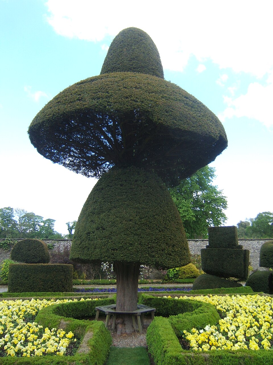 Topiary — Topiary at Levens Hall (CC BY-SA 2.0) · © Barbara Carr