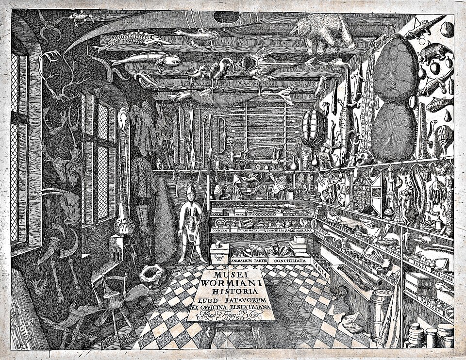 Wunderkammer — Ole Worm's museum 1655 — Wikimedia Commons / Public domain