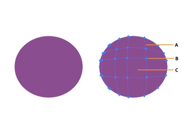 Gradient Mesh — Illustratorのメッシュオブジェクト解説図（Adobe ヘルプより引用）